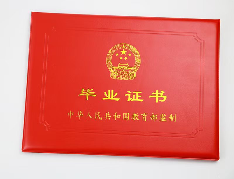 成功案例展示